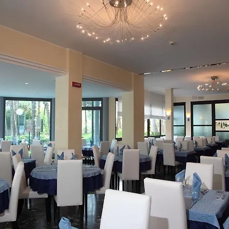 Bellevue Hotel 4*