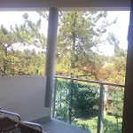 Bellevue 4*